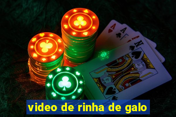 video de rinha de galo